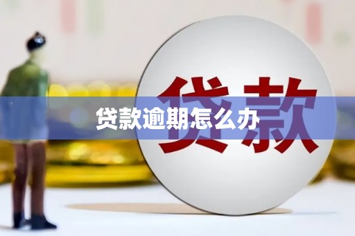余江贷款逾期怎么办