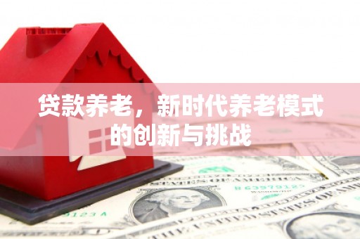 余江贷款养老，新时代养老模式的创新与挑战