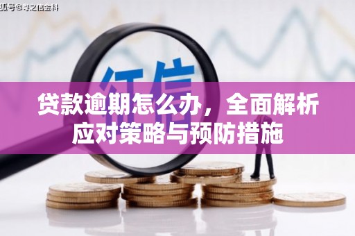 余江贷款逾期怎么办，全面解析应对策略与预防措施