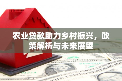 余江农业贷款助力乡村振兴，政策解析与未来展望