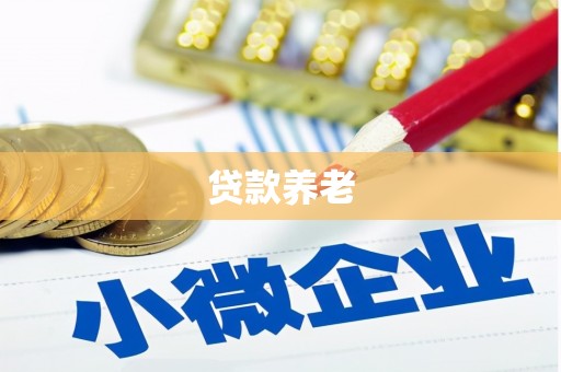 余江贷款养老