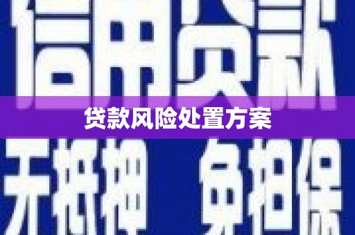 余江贷款风险处置方案