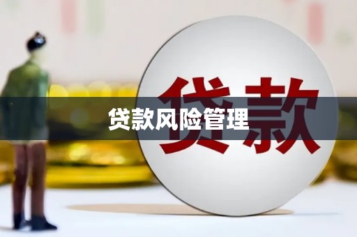 余江贷款风险管理