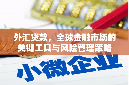 余江外汇贷款，全球金融市场的关键工具与风险管理策略