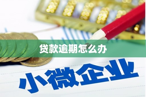 余江贷款逾期怎么办