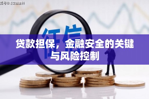 余江贷款担保，金融安全的关键与风险控制