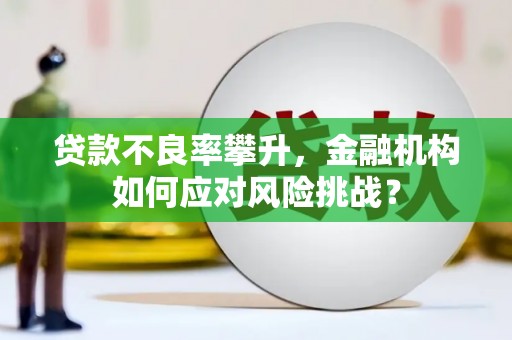 余江贷款不良率攀升，金融机构如何应对风险挑战？