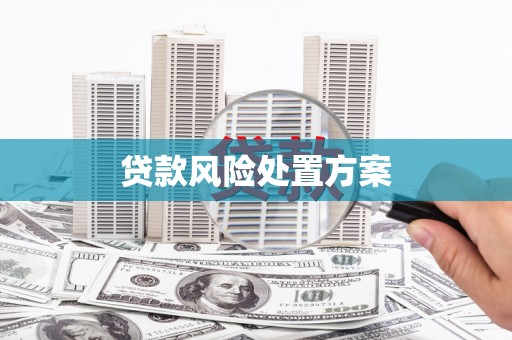 余江贷款风险处置方案